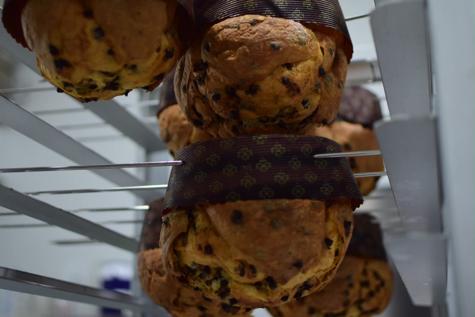Panettone Masterclass Chef Alberto Bernardi - Image 2